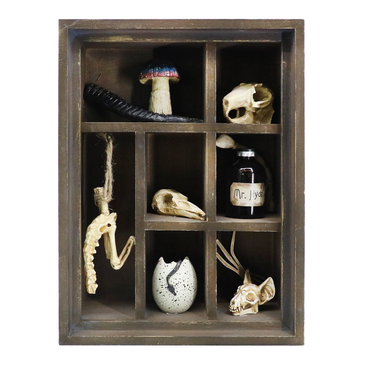 12.5&#x22; Cabinet of Oddities Tabletop Accent by Ashland&#xAE;